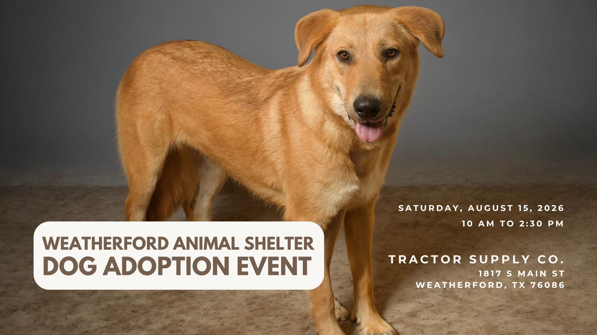 Tractor Supply Co. Dog Adoption Event